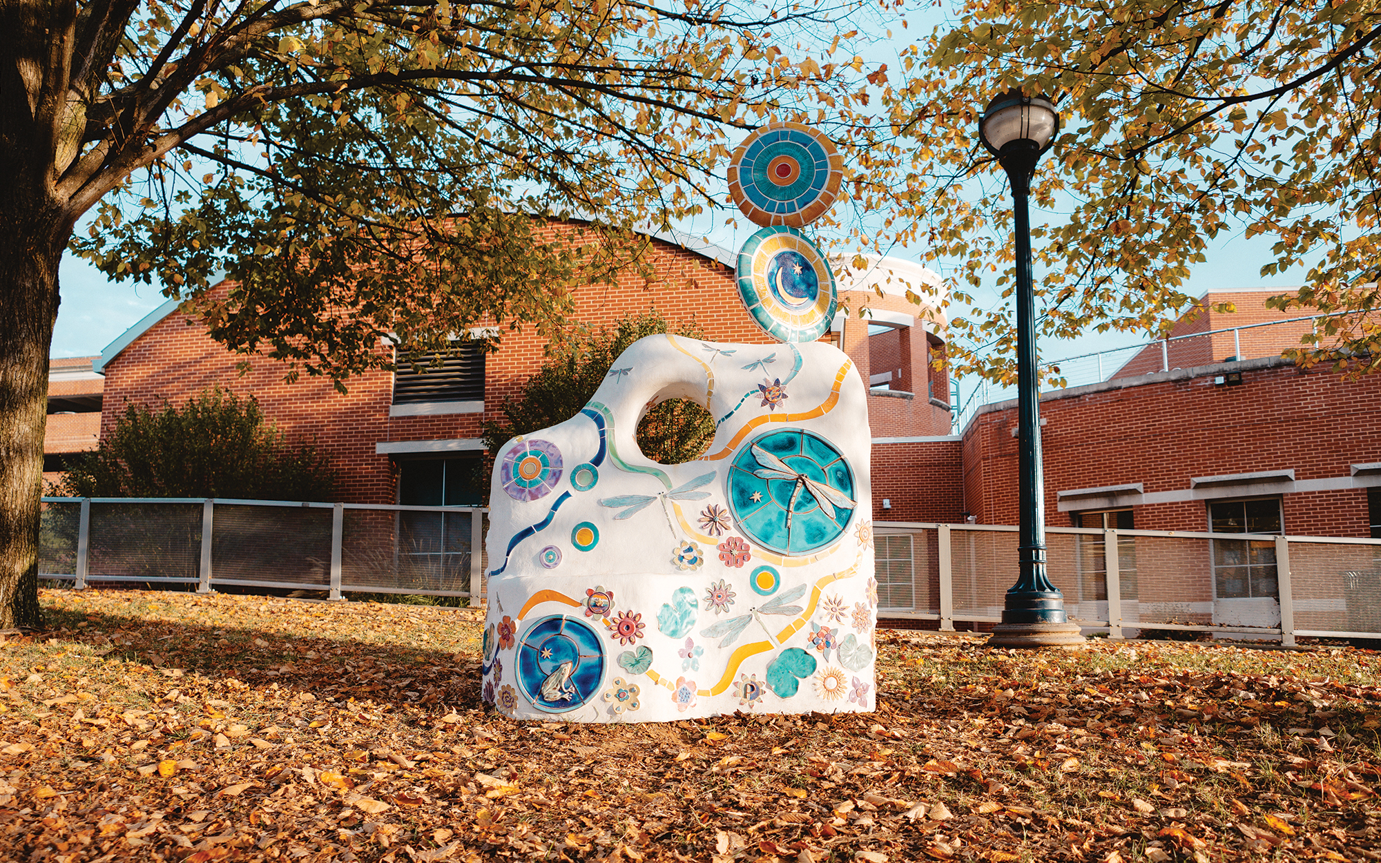 DFP-Main-Street-Installation_Image